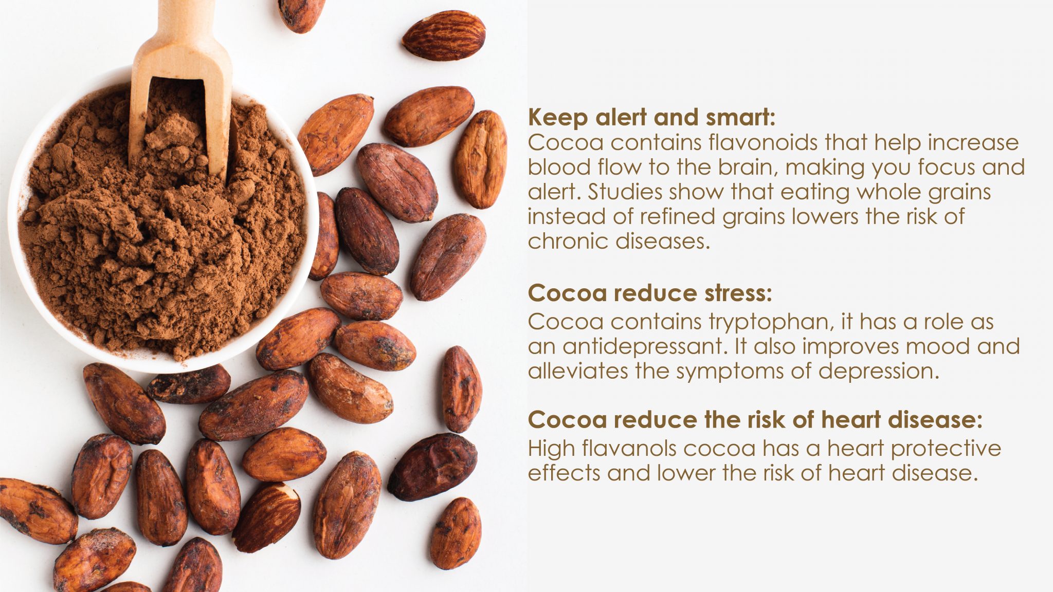 GoodMorning Cocoa Ingredient